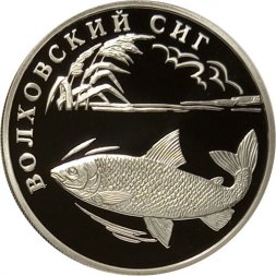 Россия 1 рубль 2005 год СПМД - Красная книга. Волховский Сиг