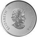 Канада 10 долларов 2019 год - Лунар. Год Свиньи