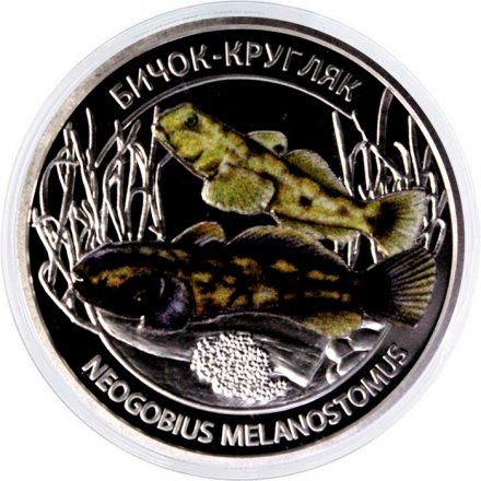 Набор из 2 монет Украина 5 гривен 2025 год - Глубоководные обитатели