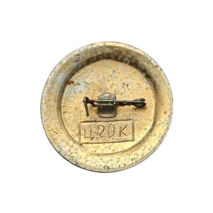 Значок Ростовская область. Ордена Ленина