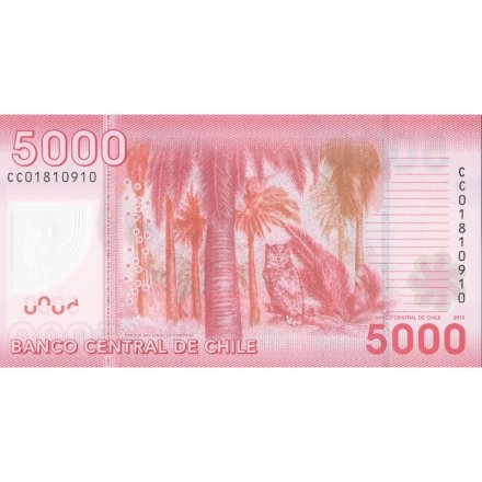 Чили 5000 песо 2013 год - Ла-Кампана - национальный парк Чили