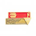 Значок Ленинградский студенческий отряд 1989 г.