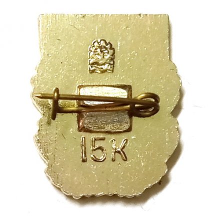 Значок Хортица. Турбаза