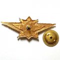 Знак классности офицерского состава &quot;Мастер&quot; МО РФ