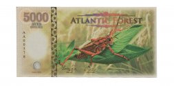 Атлантический лес - 5000 долларов 2016 год - кузнечик