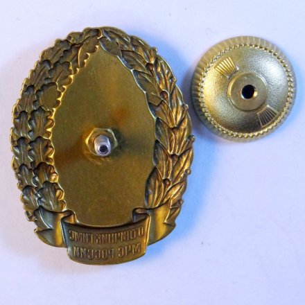 Знак отличник ГИМС. МЧС России.