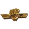 Знак &quot;Классность сверхсрочника ВМФ СССР&quot; (без шильдика)