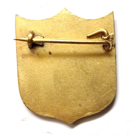 Значок Mysore State Football Association. Life member. Футбольная ассоциация штата Майсур. Пожизненный член