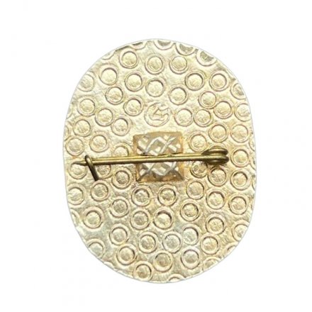 Значок Миннефтегазстрой СССР. ГЯНГС