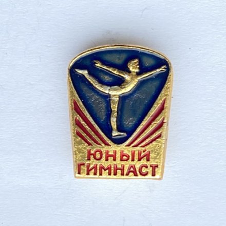Значок. Художественная гимнастика. Юный гимнаст