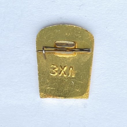 Значок. Художественная гимнастика. Юный гимнаст