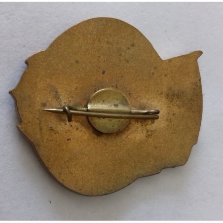 Знак ВМФ &quot;СНСЗ 70 лет&quot;