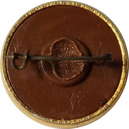 Значок Летчик-космонавт СССР Борис Борисович Егоров, булавка (тип 1)