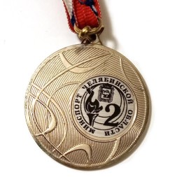 Медаль Министерство Челябинской области 2 место