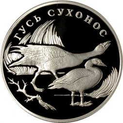 Россия 1 рубль 2006 год СПМД - Красная книга. Гусь сухонос