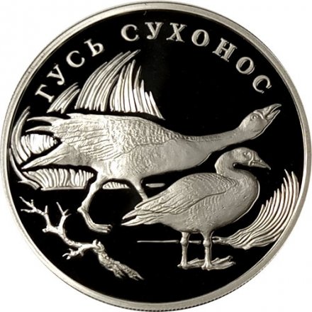 Россия 1 рубль 2006 год СПМД - Красная книга. Гусь сухонос