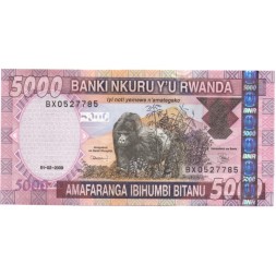 Руанда 5000 франков 2009 год - Горилла в национальном парке вулканов UNC