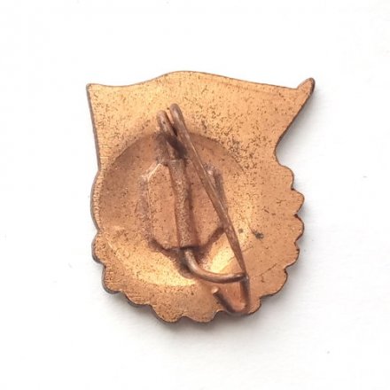 Значок ГДР 1962 г. FDJ. Союз свободной немецкой молодёжи. Карл Маркс. Комсомол, тяжелый (тип 2)