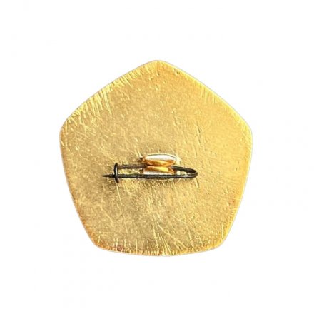 Значок Катайский насосный завод 1941-1971. 30 лет