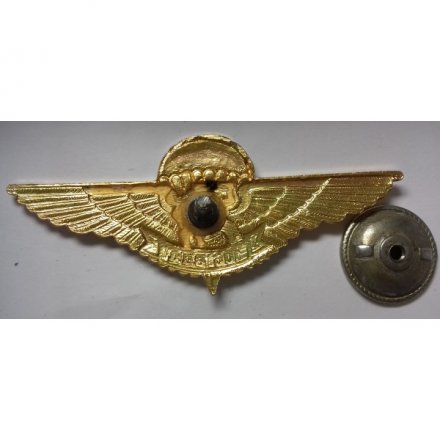 Знак ВДВ 106 гв. ВДД (крылья)