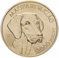 Венгрия 2000 форинтов 2019 год - Венгерские овчарки и породы охотничьих собак. Венгерская выжла
