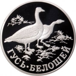 Россия 1 рубль 1998 год - Красная книга. Гусь-белошей