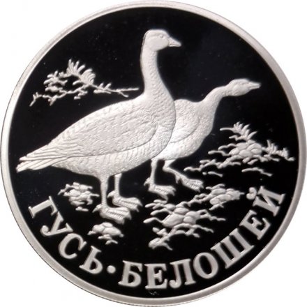 Россия 1 рубль 1998 год - Красная книга. Гусь-белошей