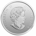 Канада 50 центов 2018 год - Игра в снежки