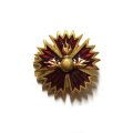 Знак (фрачник) &quot;ГРУ (главное разведывательное управление)&quot;