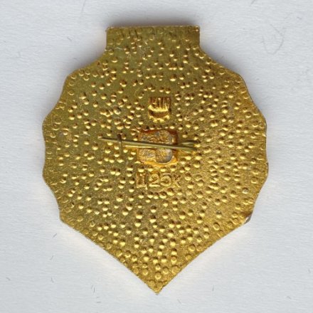 Значок. Футбол. Динамо Киев Чемпион 1975