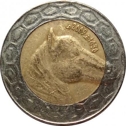 Алжир 100 динаров 2009 год - Лошадь