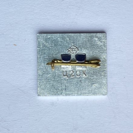 Значок. Зимние виды спорта. Парусник