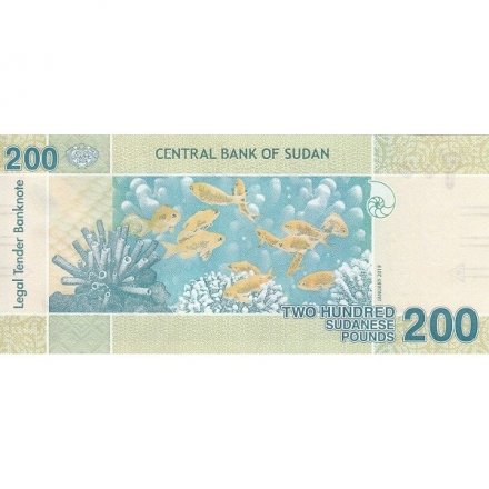 Судан 200 фунтов 2019 год - Рыбы Красного моря UNC