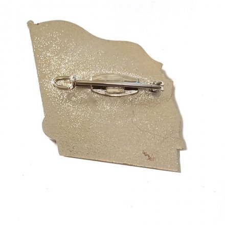 Знак АСС КТОФ 1938-2018 гг.