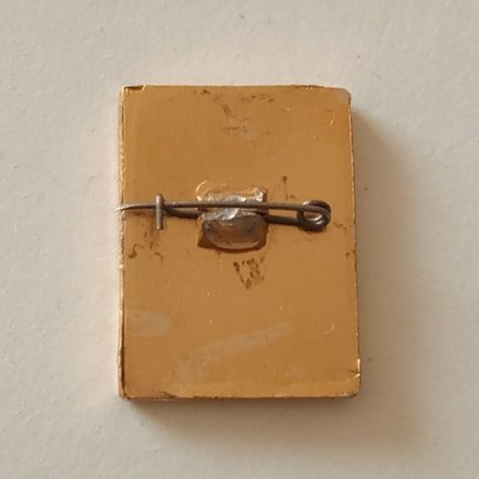 Значок БРАЗ (Братский алюминиевый завод). XV июль 1981 г.