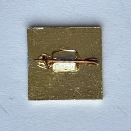 Значок. Конькобежный спорт. Спартак