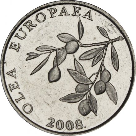 Хорватия 20 лип 2008 год - Олива европейская