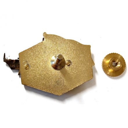 Знак 1 гвардейский дивизион ракетных катеров 36 БРРКА. Балтийский флот (тип 1)