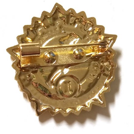 Значок ГТО. Готов к труду и обороне России. Самарская область. 1 ступень