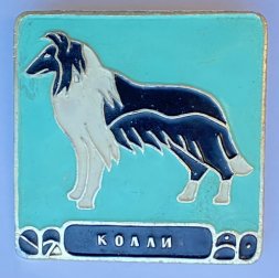 Значок. Серия собаки. Колли (бирюзовый фон) 