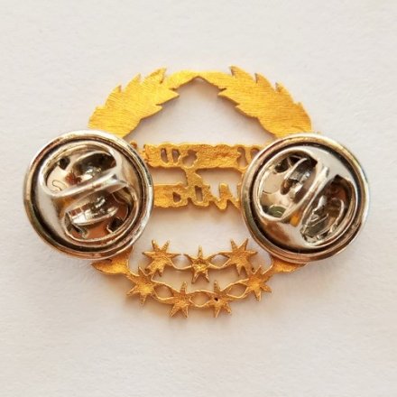 Значок Созвездие талантов. Всероссийский творческий конкурс