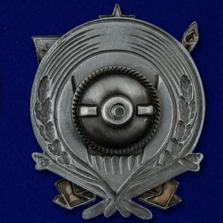 Знак &quot;100 лет ВЧК&quot;