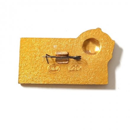 Значок Ростовская область. Орден Ленина