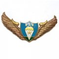 Знак Спецназ крылья ВДВ парашют, звезда