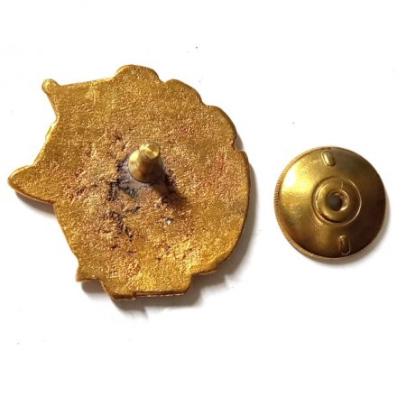 Знак 15 лет ПЛ