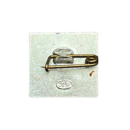 Значок Светлана. Завод