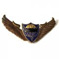 Знак Спецназ крылья ВДВ мышь