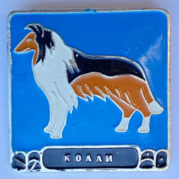 Значок. Серия собаки. Колли (голубой фон) 