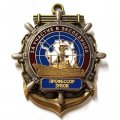 Знак За участие в экспедиции. Профессор Зубов