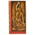 Значок. Краеведческий музей. КБАССР